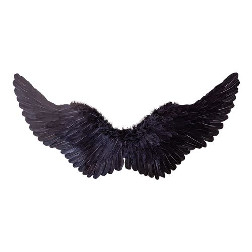 Accessoire D'aile D'ange Pour Halloween, Avec Bande Élastique, Plume D'oie, Couleurs Vives, Bon Détail, Spectacle Sur Scène, Jeu De Rôle, Fête, Danse, Fausse Aile-Noir