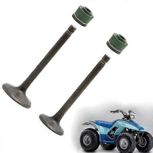 Unique Intake & Exhaust Valves Set For Yamaha Yfm125g Grizzly 125 2004 2005 2006 2007 2008 2009 2010 2011 / Yfa1 Breeze 1989-2004