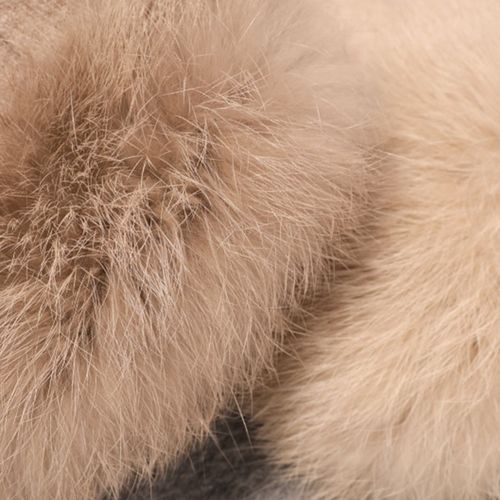 Gants Polaires En Peluche Pour Femmes, 1 Paire, Épais, Très Chauds, Mitaines De Cyclisme Pour Le Patinage-Chameau