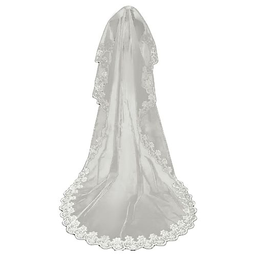 Voile De Mariage En Dentelle Avec Broderie De Fleurs, Monocouche, Grand, Long, Blanc, Romantique, Maille Douce, Accessoire Photo, Voile De Fiançailles, Cosplay, Couvre-Chef De Fête-3m Beige