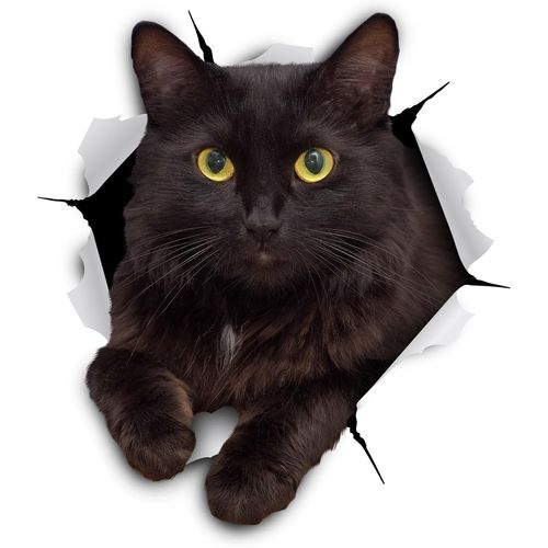 Lot de 5 autocollants 3D pour chat noir ¿ Cadeaux pour amoureux des chats ¿ Autocollants muraux pour chambre, réfrigérateur, toilettes, voiture ¿ Emballage de détail (chat noir effronté)