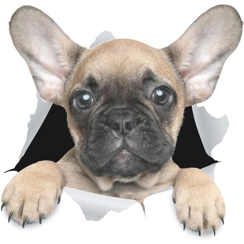 Autocollants muraux 3D pour chiens - Lot de 2 - Autocollants décoratifs - Adorables autocollants pour chiens bouledogues français pour mur, réfrigérateur, toilettes, chambre, voiture, réfrigérateur
