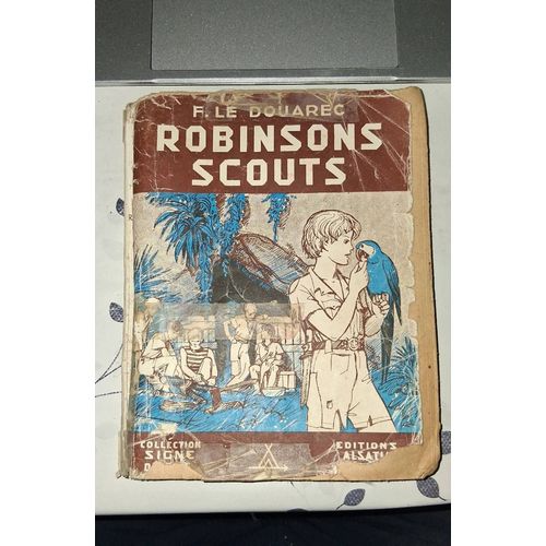 Robinson Scouts
