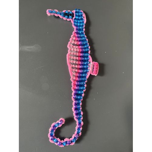 Hippocampe 3 D 