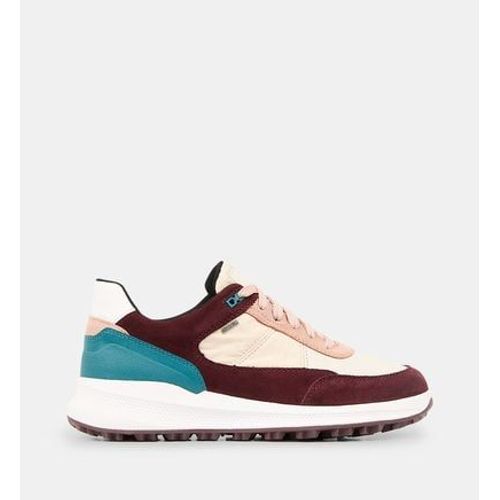 Geox Baskets Basses Pg1x Multicolore