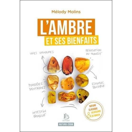 L'ambre Et Ses Bienfaits