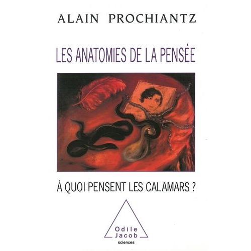 Les Anatomies De La Pensée - À Quoi Pensent Les Calamars?