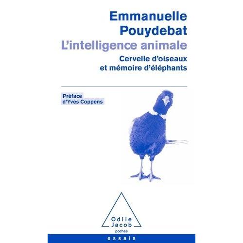 L'intelligence Animale - Cervelle D'oiseaux Et Mémoire D'éléphants