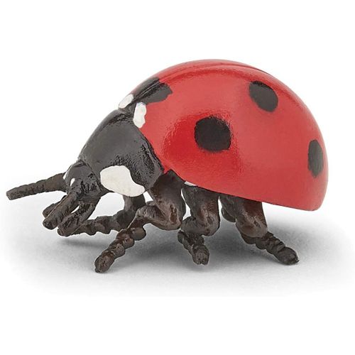- Figurine animal - Coccinelle, porte bonheur, Jouet enfant dès 3 Ans - Découverte du Monde des Insectes[1654]
