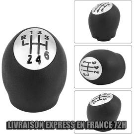 Pommeau de Levier de Vitesse NOIR Boite 5 pour CLIO 3 Laguna 2 Modus Twingo  3 