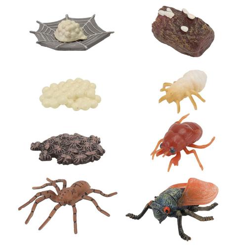 8 Pièces Modèles D'animaux En Plastique Simulés Cycle De Croissance Des Insectes Araignée Croissance Des Cigales Science Cognition Éducatifs-Générique