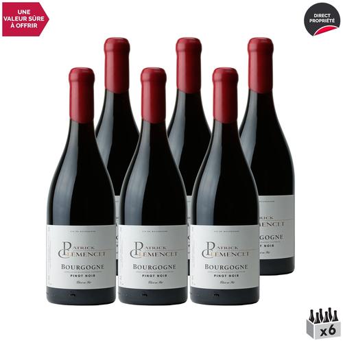 Patrick Clémencet Bourgogne Pinot Noir Fûts De Chêne Rouge 2022 X6
