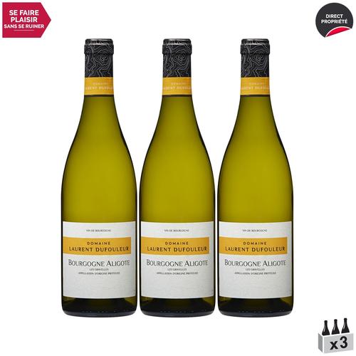 Domaine Laurent Dufouleur Bourgogne Aligoté Les Gravelles Blanc 2022 X3