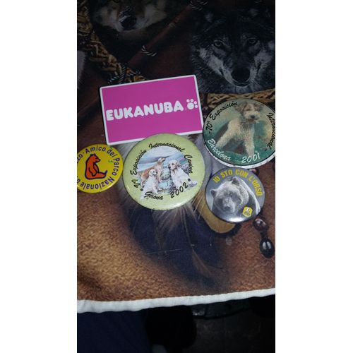 5 Badges Divers