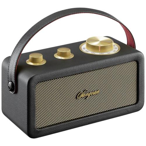 Radio sans fil FM Bluetooth noir, or Sangean RA-101
