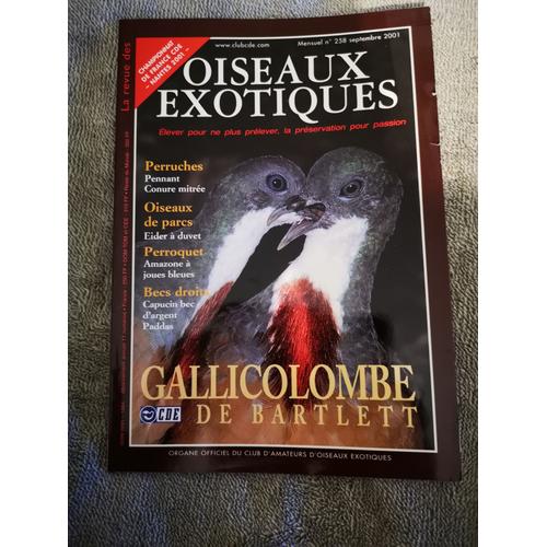 Oiseaux Exotiques N°258 Gallicolombe De Bartlett