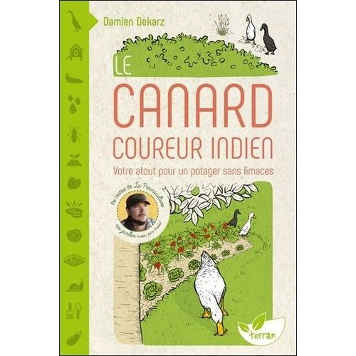 Le Canard Coureur Indien - Votre Atout Pour Un Potager Sans Limaces