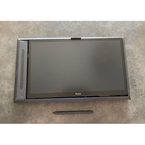 ASUS PROART DISPLAY PA169CDV