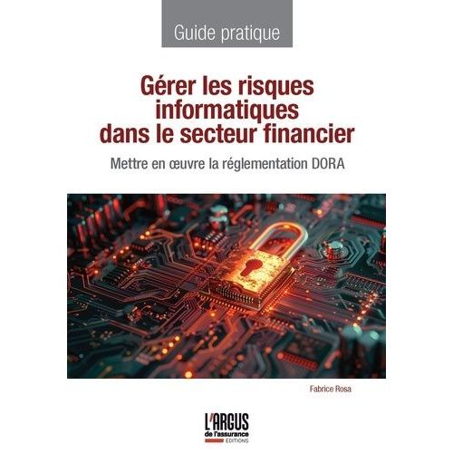 Gérer Les Risques Informatiques Dans Le Secteur Financier - Mettre En Oeuvre La Réglementation Dora