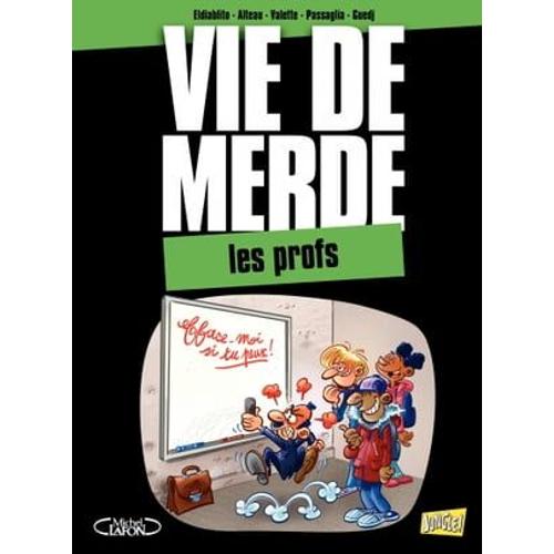 Vdm - Tome 9 - Les Profs