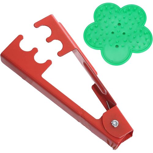 Ensemble d'élagage de jardin 2 pièces, cisailles à roses, pour épines de roses, épines de roses, outils de fleuriste