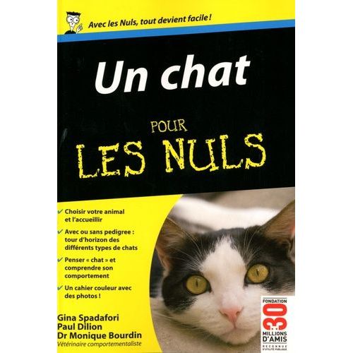 Un Chat Pour Les Nuls