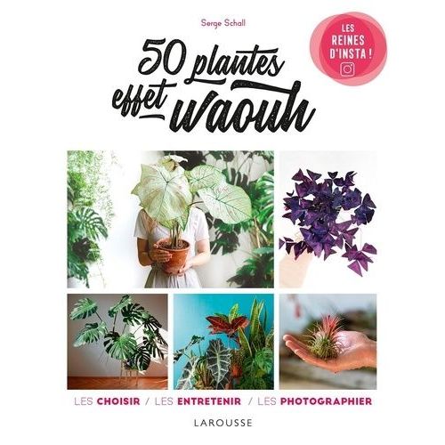 50 Plantes Effet Waouh - Les Choisir, Les Entretenir, Les Photographier
