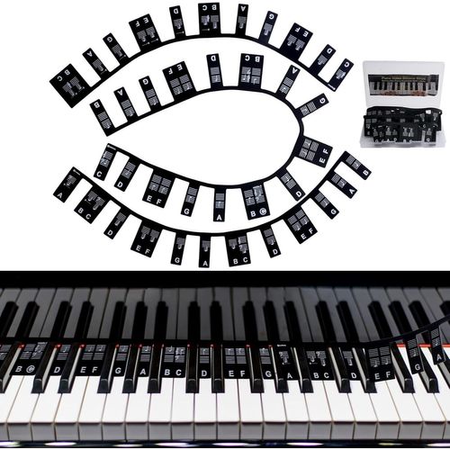 YEMAESRE-Guide Des Notes De Piano Amovibles Pour Débutants - 88 Touches En Silicone - Étiquettes De Notes Sans Autocollants - Boîte Gratuite Pour L'Apprentis De La Théorie De La Musique (Noir)
