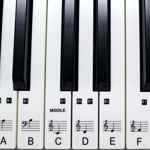 YEMAESRE-Clavier Musical À 61 Touches Pour Apprendre À Jouer Du Piano Plus Vite - En Plastique Transparent Laminé Ps1C 61 Lot De 36 Autocollants Pour Touches Blanches