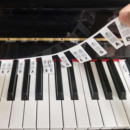 YEMAESRE-Amovibles Autocollants De Clavier De Piano, Autocollants Clavier Piano Pleine Grandeur 88 Touches En Silicone Pas Besoin De Coller Étiquettes Colorées Réutilisables Pour Piano, Avec Boîte