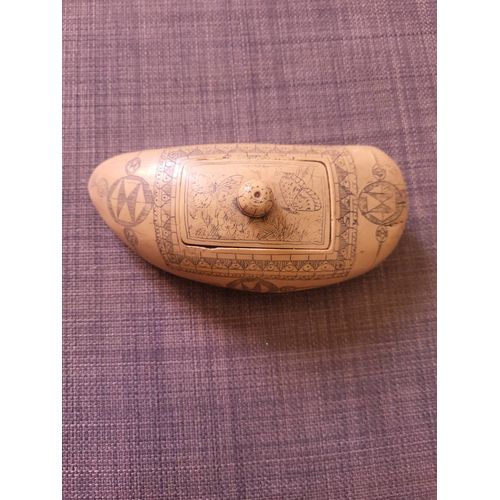 Boite Scrimshaw