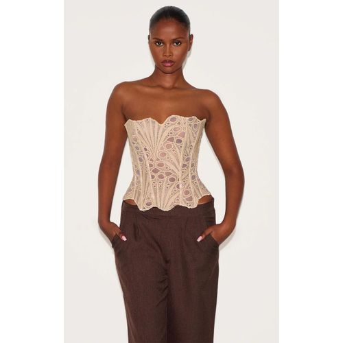 Corset En Dentelle Texturée Amande Transparente Fleurie, Amande