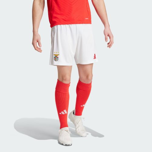 Short Domicile Benfica 24/25 Adidas - White - Xl