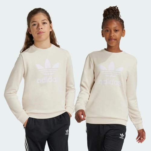 Sweat-Shirt Ras-Du-Cou Trèfle Enfants Adidas - Wonder White - 10-11a