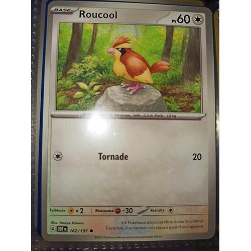 Commune - Pokemon - Flammes Obsidiennes - Roucool 162/197