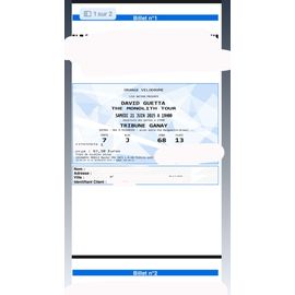 2 Billets Concert David Guetta Vélodrome Cat 1 21/06/25