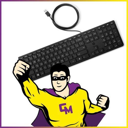 Clavier PC AZERTY USB HP TPC-P001K HSA-P010K 109 Touches Noir