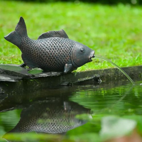 Prolenta Premium - Fontaine De Jardin À Cracheur Poisson