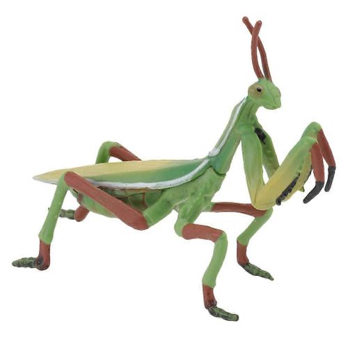 1Pc Mantis Figurine Plastique Mantis Modèle Réaliste Insecte Modèle Enfants Jouet