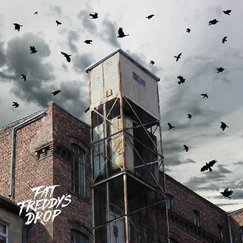 Fat Freddy's Drop - Blackbird Returns [Vinyl Lp]