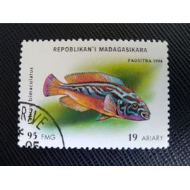 Timbre Madagascar Y T 1401 Labre Coucou (Labrus Bimaculatus) 1994 (010609 )