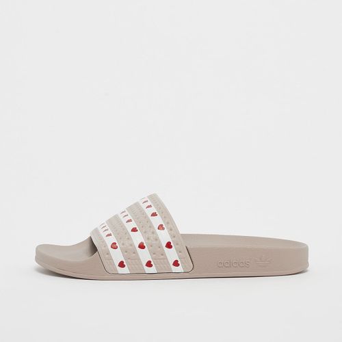 Chaussures Adidas Originals Claquette Adilette Brun