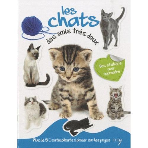 Les Chats, Des Amis Très Doux - Avec Plein D'autocollants En Couleurs