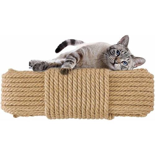 Corde De Sisal Naturel 6mm- Corde De Sisal 10m- Pour Arbres À Chat, Décoration (6 Mm X 10 M) Lefou