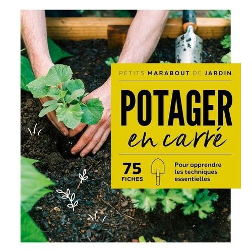Potager En Carré
