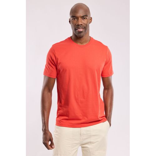 T-Shirt Uni - Coton Léger