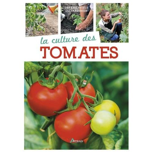 La Culture Des Tomates