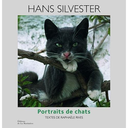 Portraits De Chats