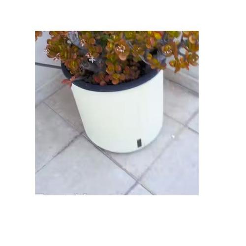 Bac Jardiniere Pot Riviera Rond Blanc Diametr 35 Cm Ecru Hydratation Arrosage Humidite Continue Pr Plantes Vertes Reserve D Eau Vegetaux Plantation Fleurs Bulbe Cont Recipient Back Résine