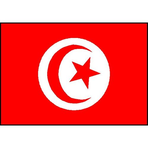 Drapeau Drapeaux Tunisie Tunisien 160x90cm